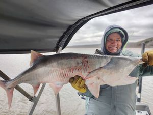Successful Paddlefish Limits