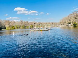 Top Things to Do in St. Marks, FL