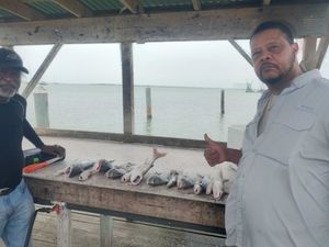 Corpus Christi Bay Fishing 