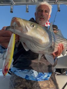 Topwater and jig bite on fire