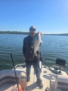 Spring Bite Is Picking Up