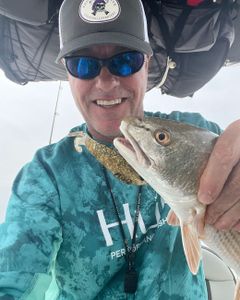Reds, Trout, Blues, Flounder & Striper Pamlico Sound & Neuse River in NC! 
