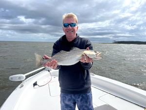 Trout moving out of creeks