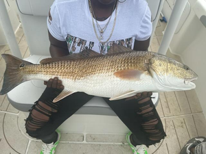 Redfish, Blues, and Stunning Scenery: A Day on the Water with Pamlico Pirate Fishing Charters