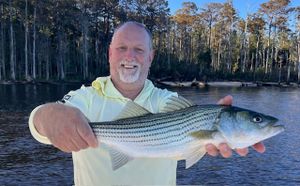 Striped Bass Bonanza: Inshore Fishing Adventure on the Neuse River