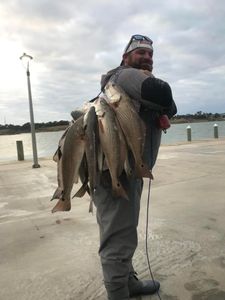 Texas fishing for Inshore Fish Species