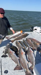 Rockport Guided Fishing Trips