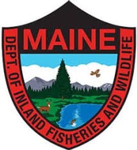 Maine Fishing License Information for Travelers and Anglers