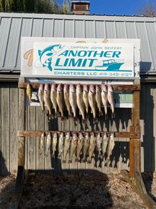 Erie walleye and perch