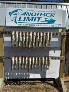 A Look at This Season’s Best Trips So Far