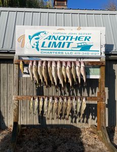 Cheap Lake Erie Fishing Charters