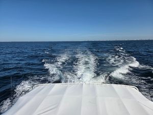 Fall Morning Charter with Windwalker II - Perfect 4-Hour Trip