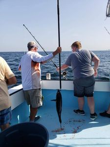 Destin's Offshore Fishing Charter