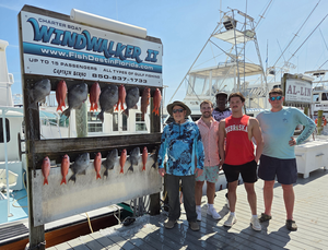 Windwalker II Spring Special: 6 hour bottom fishing trip