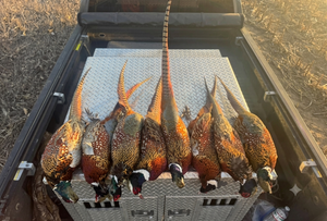 How to Get Your Kansas Hunting License