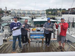 Current Lake Conditions and Trolling Success with Captain Glenn