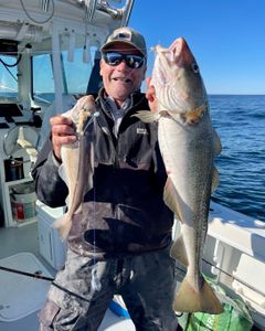 Massachusetts Fishing Report | Great Day of Angling!