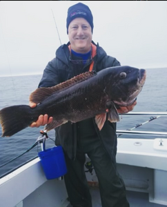 Tautog Reels