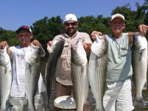 Top-notch Lake Texoma Fishing for Striped Bass