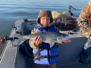 Lake Texoma, Awesome Striper Fishing!