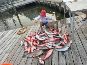 Ryder put in work yesterday – solid day on the water!