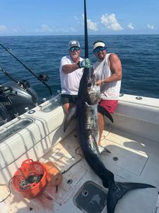 Limited July dates left – who’s ready to battle the gladiator of the sea?