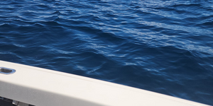 Fish N' Tales Charters Fishing Charter Prices