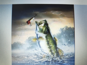 Florida City Fall Smallmouth Bass Action - Hot Bite & Clear Water