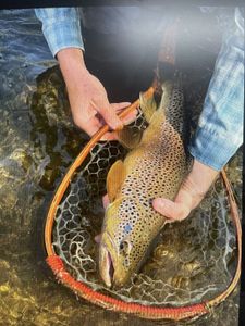 Rajshree's Thrilling Inshore Fishing Adventure with ThennaDF in 7, PH2