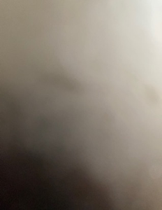 Inshore Adventure with Anoosha and the Crew in Florida City