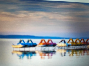 Crystal River to Florida City: June Scuba Skills & Exploration