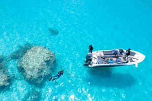A fishing report is a detailed summary that provides information about current fishing conditions in a specific area. It typically includes updates on