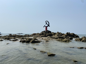 Scuba Odyssey: Exploring the Vibrant Underwater World of Florida