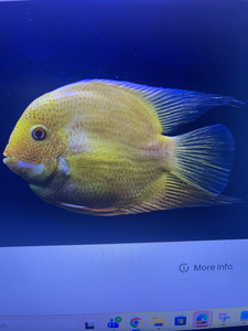 Florida City Flats: Solid Day at Crystal River Preserve Park