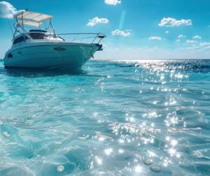 Premium fishing buss.