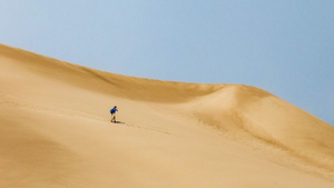 Fall Fishing Success: Bonito & Tuna Action in Kaveri River Basin