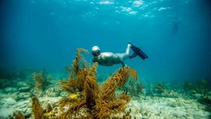 Florida Fall Fishing with ThennaDFF - Bottom & Spin Casting Trip