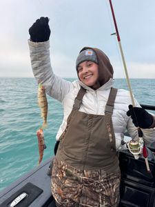 Fast Perch Bite This Morning