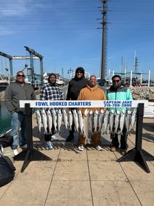 Spring salmon bite stays strong with another great return trip