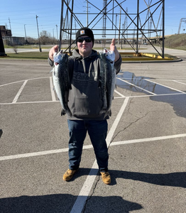 The Ultimate Guide to Salmon Fishing in Southern Lake Michigan