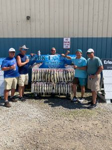 Walleye Action Stays Hot with Back-to-Back Limits