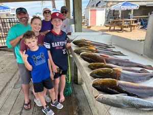 Full Day Bay Fishing