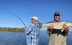 Black Drum and Redfish Bite Heating Up This Week