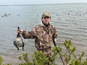 Friendship Family Ducks Fish