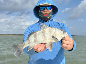 Port O'Connor Black Drum Success on Afternoon Half Day Trip