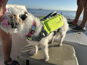 Port O'Connor Inshore Slam: Trout, Redfish & Black Drum Trip