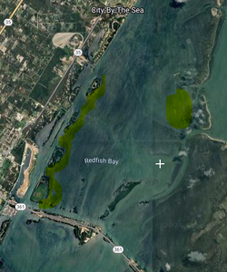 3/20/24 - Redfish Bay