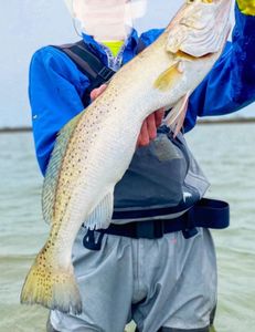 1/29 I/24 ~ Wade trip 