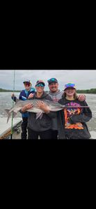 Family Paddlefish Adventure at Hudson Dam