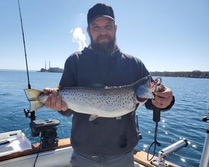 Oswego Fishing Charters-Sea Trout